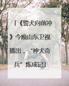 《警犬向前冲》今晚山东卫视播出，“神犬奇兵”炼成记