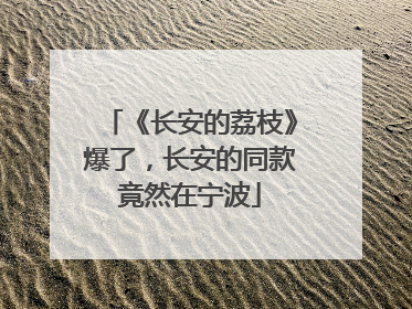 《长安的荔枝》爆了，长安的同款竟然在宁波