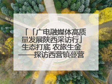 「广电融媒体高质量发展陕西采访行」生态打底 农旅生金——探访西营镇蔓营村省级旅游示范村的振兴密码