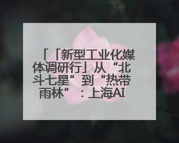 「新型工业化媒体调研行」从“北斗七星”到“热带雨林”：上海AI生态的技术商业共生密码