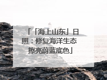 「海上山东」日照：修复海洋生态 擦亮蔚蓝底色