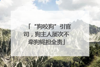 “狗咬狗”引官司，狗主人屡次不牵狗绳担全责