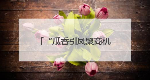 “瓜香引凤聚商机 政企联动促发展”北京大兴庞各庄镇 2025 年西瓜季政企联动产业推介活动圆满举行