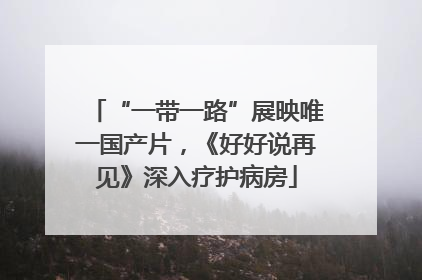 “一带一路”展映唯一国产片，《好好说再见》深入疗护病房