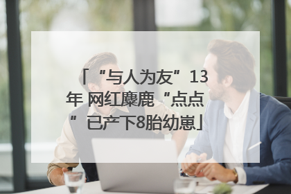 “与人为友”13年 网红麋鹿“点点”已产下8胎幼崽