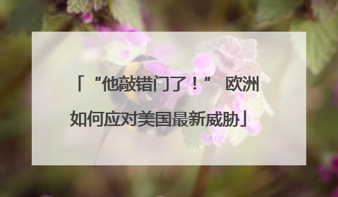 “他敲错门了！” 欧洲如何应对美国最新威胁