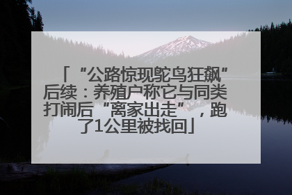 “公路惊现鸵鸟狂飙”后续：养殖户称它与同类打闹后“离家出走”，跑了1公里被找回