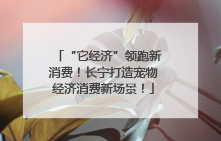 “它经济”领跑新消费！长宁打造宠物经济消费新场景！
