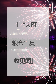 “天府粮仓”夏收见闻
