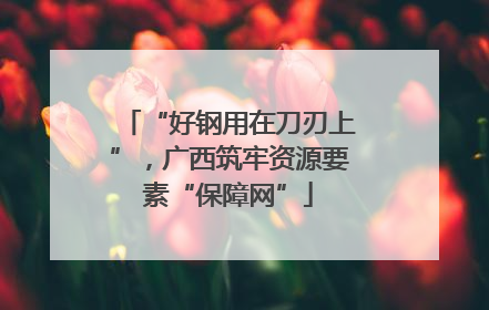 “好钢用在刀刃上”，广西筑牢资源要素“保障网”