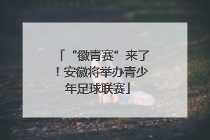 “徽青赛”来了！安徽将举办青少年足球联赛