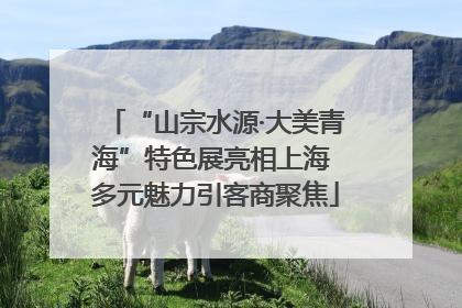 “山宗水源·大美青海”特色展亮相上海 多元魅力引客商聚焦