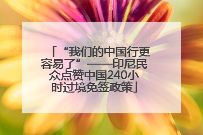 “我们的中国行更容易了”——印尼民众点赞中国240小时过境免签政策