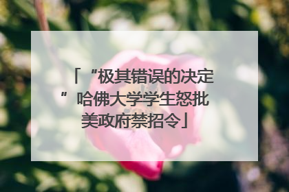 “极其错误的决定”哈佛大学学生怒批美政府禁招令