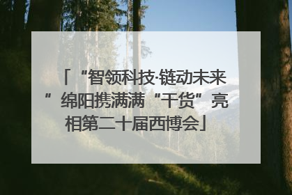 “智领科技·链动未来”绵阳携满满“干货”亮相第二十届西博会