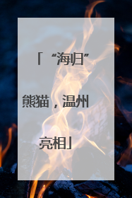 “海归”熊猫，温州亮相