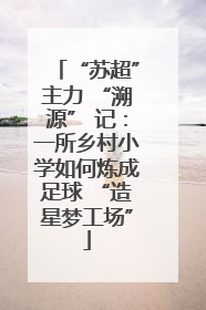 “苏超”主力 “溯源” 记：一所乡村小学如何炼成足球 “造星梦工场”