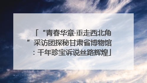 “青春华章·重走西北角”采访团探秘甘肃省博物馆：千年珍宝诉说丝路辉煌
