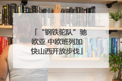 “钢铁驼队”驰欧亚 中欧班列加快山西开放步伐