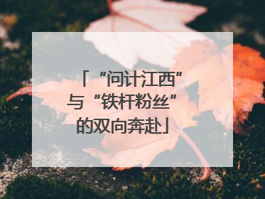 “问计江西”与“铁杆粉丝”的双向奔赴
