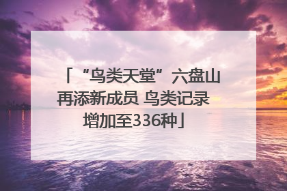 “鸟类天堂”六盘山再添新成员 鸟类记录增加至336种