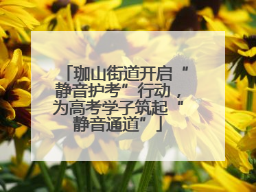 珈山街道开启“静音护考”行动，为高考学子筑起“静音通道”