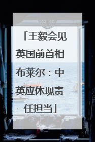 王毅会见英国前首相布莱尔：中英应体现责任担当