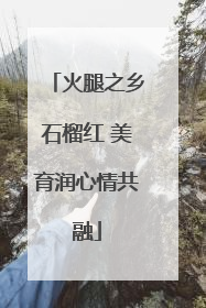 火腿之乡石榴红 美育润心情共融