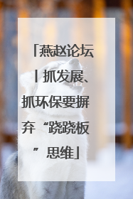 燕赵论坛丨抓发展、抓环保要摒弃“跷跷板”思维