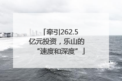 牵引262.5亿元投资，乐山的“速度和深度”