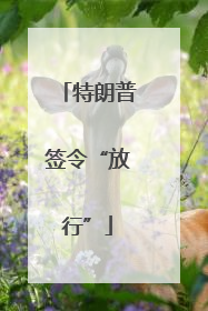 特朗普签令“放行”