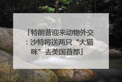 特朗普迎来动物外交：沙特将送两只“大猫咪”去美国首都