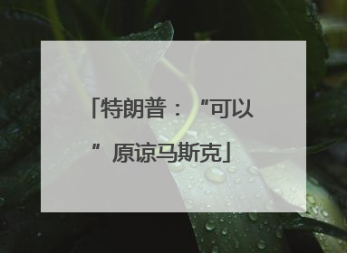 特朗普：“可以”原谅马斯克
