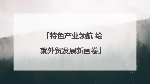 特色产业领航 绘就外贸发展新画卷