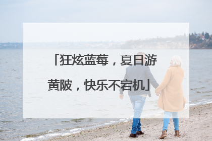 狂炫蓝莓，夏日游黄陂，快乐不宕机