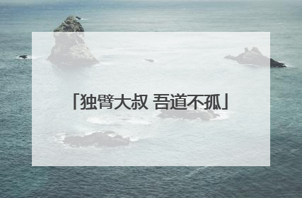 独臂大叔 吾道不孤