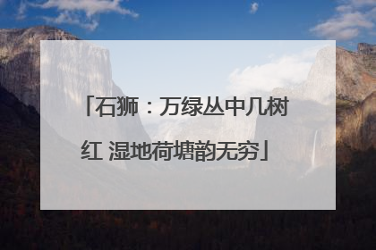 石狮：万绿丛中几树红 湿地荷塘韵无穷