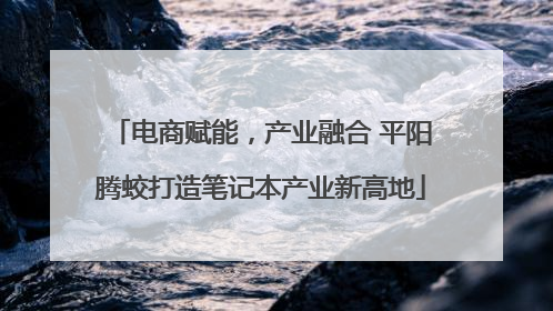 电商赋能，产业融合 平阳腾蛟打造笔记本产业新高地