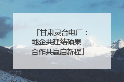 甘肃灵台电厂：地企共建结硕果 合作共赢启新程