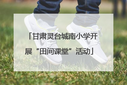 甘肃灵台城南小学开展“田间课堂”活动