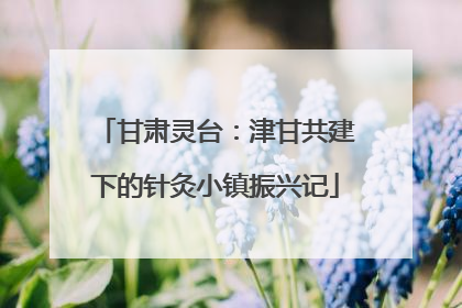 甘肃灵台：津甘共建下的针灸小镇振兴记
