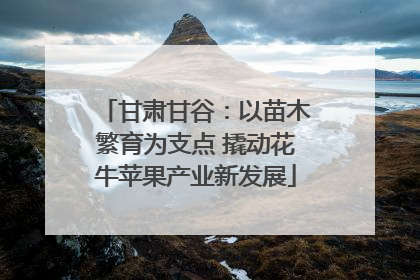 甘肃甘谷：以苗木繁育为支点 撬动花牛苹果产业新发展