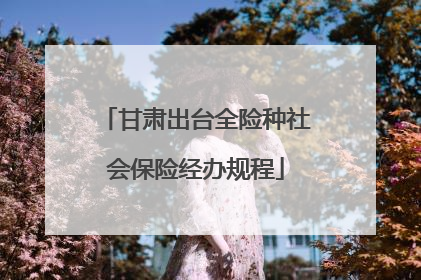 甘肃出台全险种社会保险经办规程