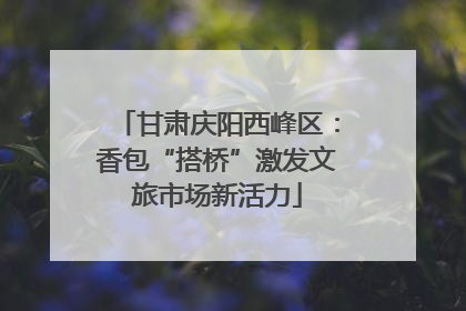 甘肃庆阳西峰区：香包“搭桥”激发文旅市场新活力