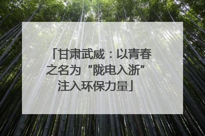 甘肃武威：以青春之名为“陇电入浙”注入环保力量