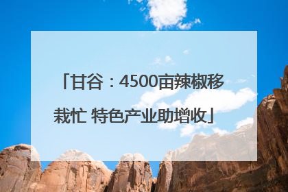 甘谷：4500亩辣椒移栽忙 特色产业助增收