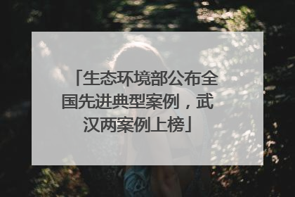 生态环境部公布全国先进典型案例，武汉两案例上榜