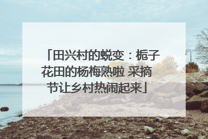 田兴村的蜕变：栀子花田的杨梅熟啦 采摘节让乡村热闹起来