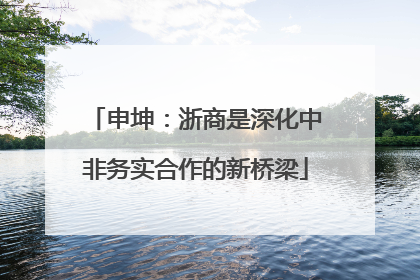申坤：浙商是深化中非务实合作的新桥梁