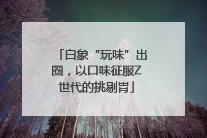白象“玩味”出圈，以口味征服Z世代的挑剔胃